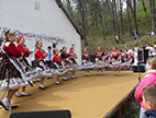 Krupanj maifestacije Lazareva subota